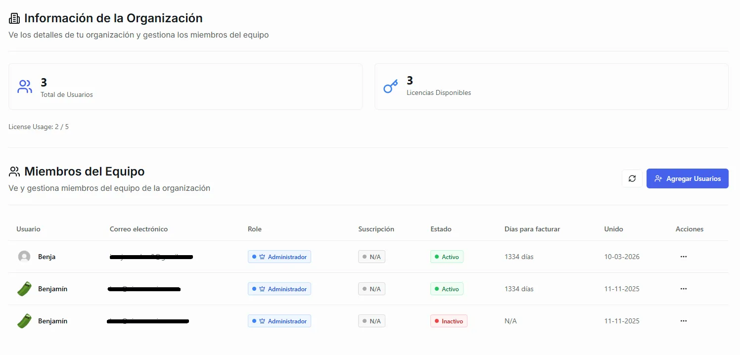The Organization tab showing the team overview and member list