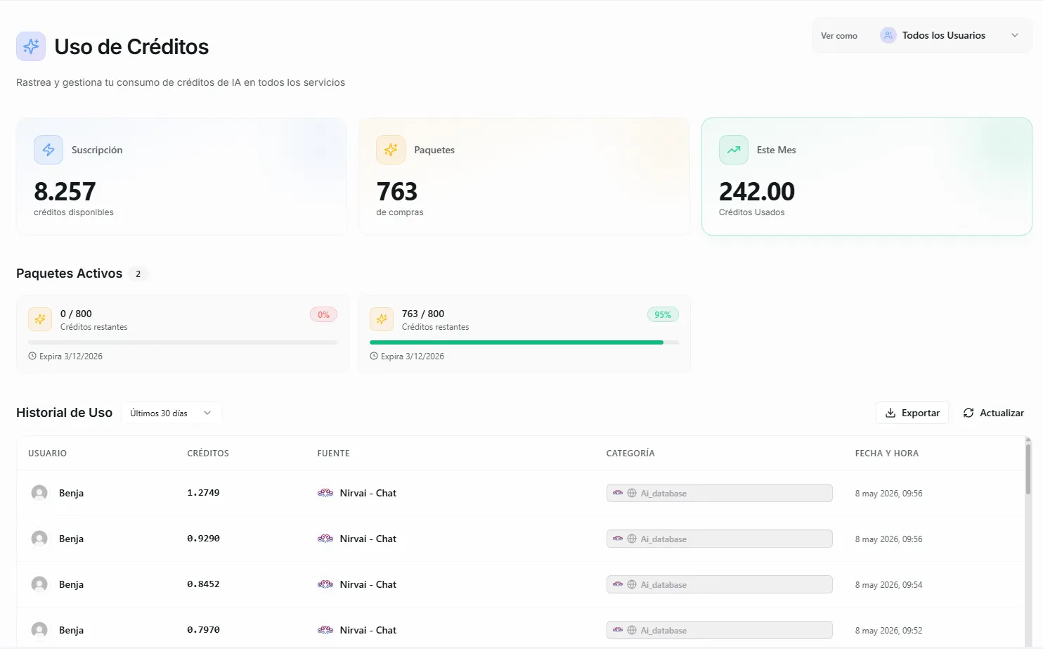 The Usage tab showing credit balance cards and the usage history table